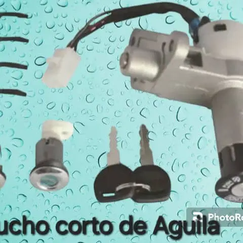 Chuchos de moto único y aguila's photo #2