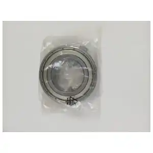 Rodamiento 6006 miniatura 2
