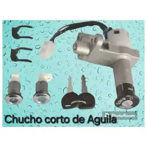 Chuchos de moto único y aguila miniatura 1