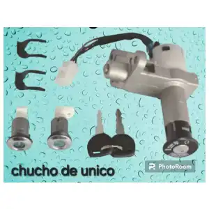 Chuchos de moto único y aguila miniatura 2